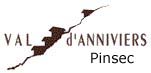 logo Pinsec